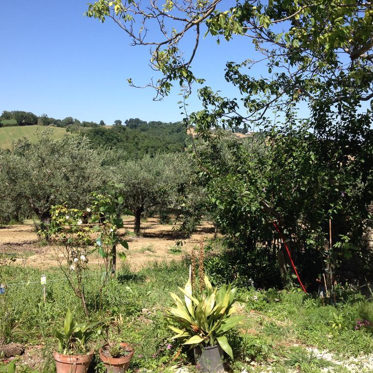 Masseria Spadone Villa Civitella Casanova Exterior foto
