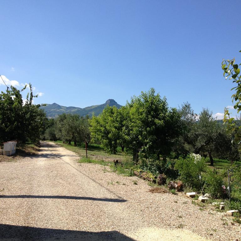 Masseria Spadone Villa Civitella Casanova Exterior foto